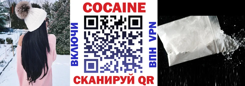 где купить   Сясьстрой  Кокаин Fish Scale 