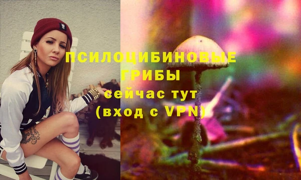 прущий лед Алексеевка